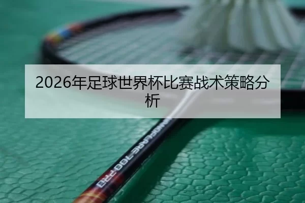 2026年足球世界杯比赛战术策略分析